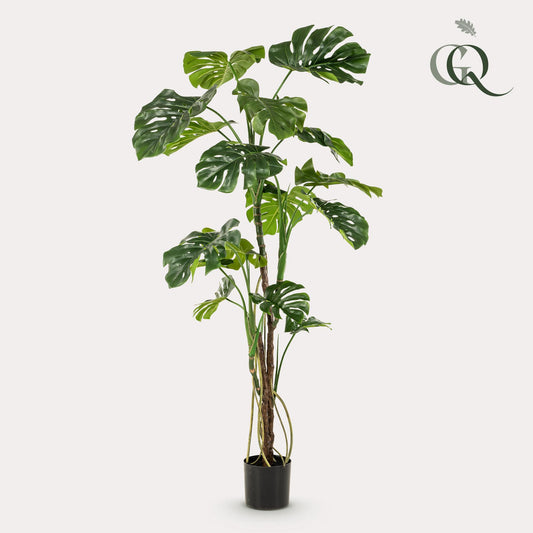 Kunstplant - Gatenplant - Monstera  - 180cm