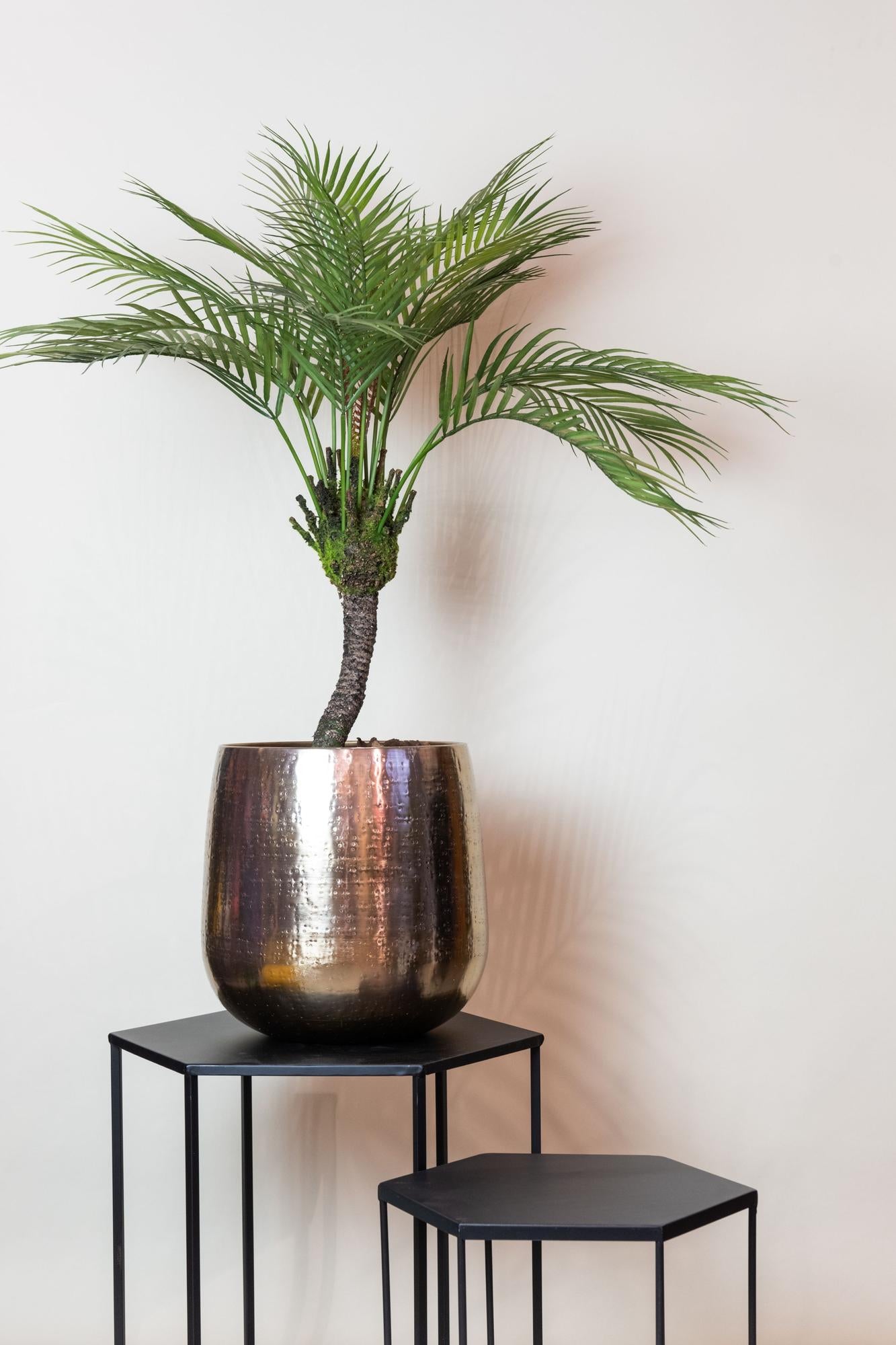 Kunstplant - Bergpalm - (Chamaedorea) - 85 cm