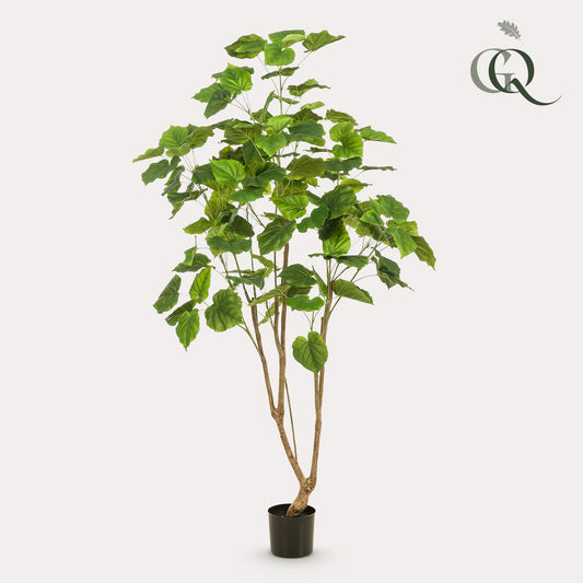 Kunstboom – Ficus Umbellata (Afrikaanse vijg) – 180 cm