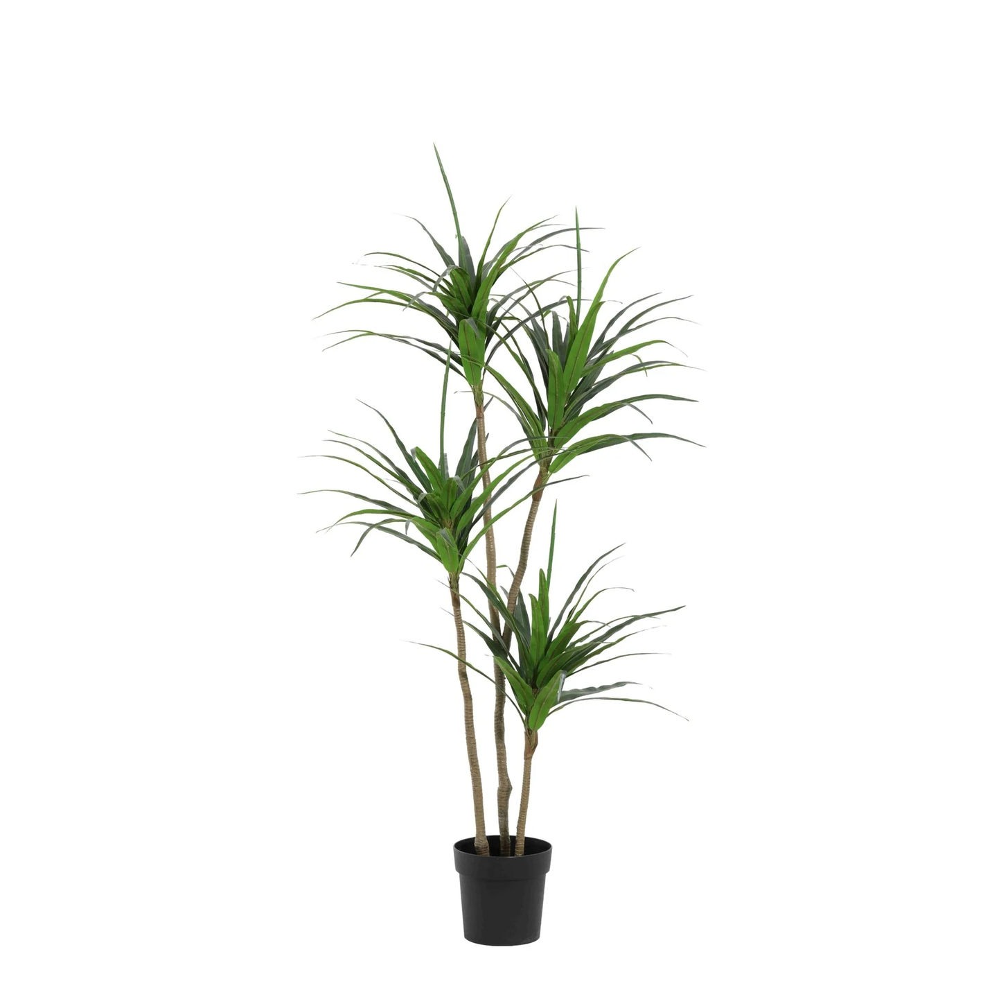 Kunst Dracaena – Dracaena marginata – 165 cm
