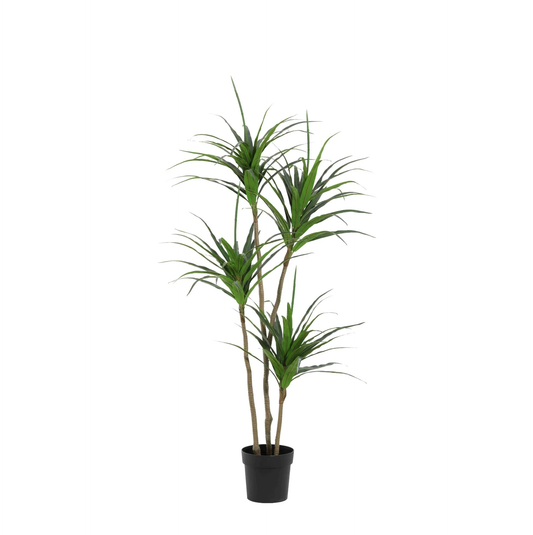 Kunst Dracaena – Dracaena marginata – 165 cm