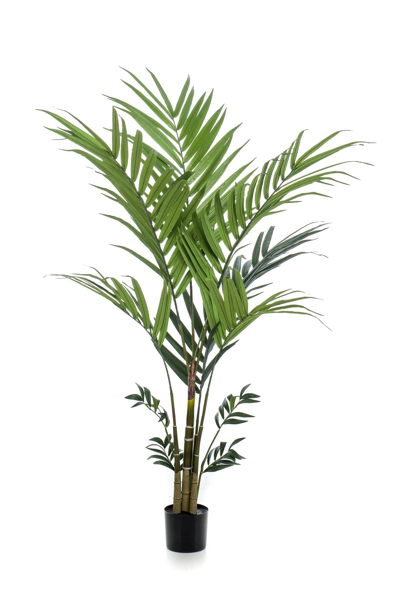 Kunstboom - Kentiapalm - Kentia - 180 cm