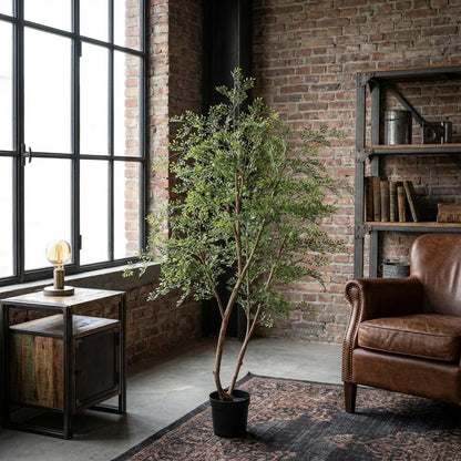 Kunst Cassia – Cassia – 180 cm