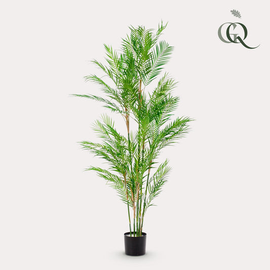 Kunstboom – Bergpalm (Chamaedorea elegans)