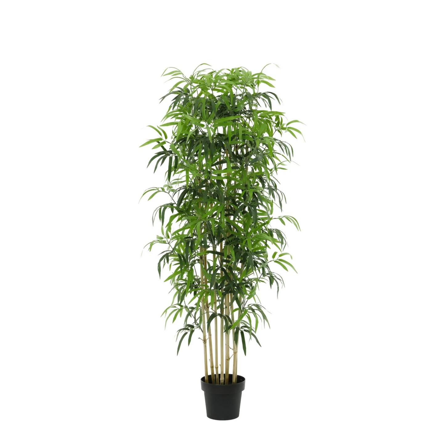 Kunst Bamboe – Bambusa – 180 cm