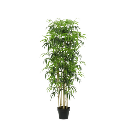 Kunst Bamboe – Bambusa – 180 cm