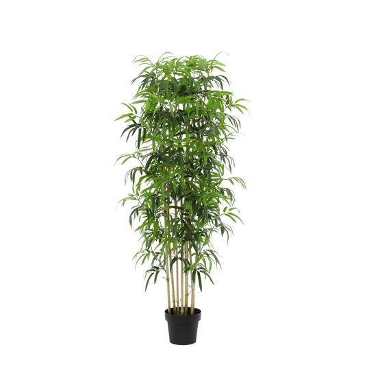 Kunst Bamboe – Bambusa – 180 cm