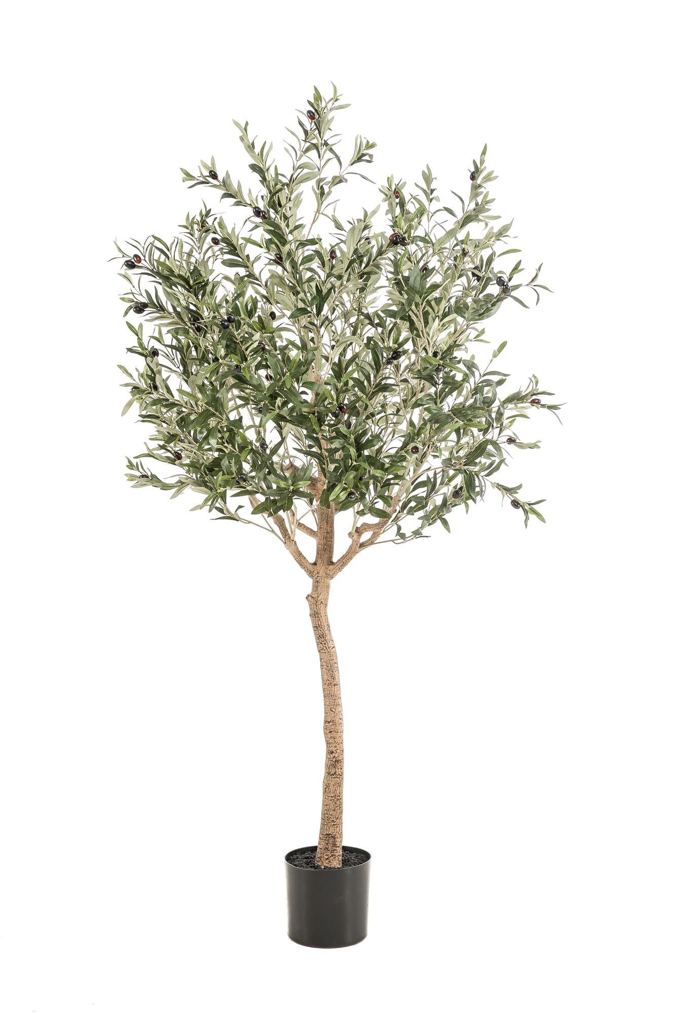Kunst Olijfboom – Olea europaea – 180 cm