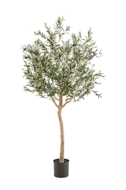 Kunst Olijfboom – Olea europaea – 180 cm