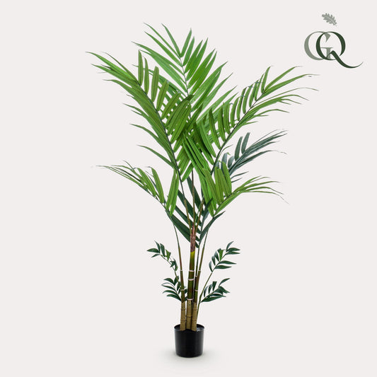 Kunstboom - Kentiapalm - Kentia - 180 cm