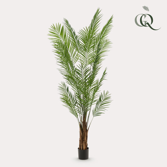 Kunstboom - Goudpalm - Areca Lutescens - 240cm