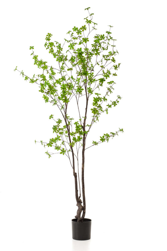 Kunstboom – Oost-Indische Kers (Tropaeolum speciosum) - 210 cm