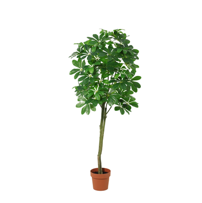 Kunst Geldboom – Pachira Aquatica – 150 cm
