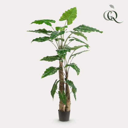 Kunstplant - Olifantsoor - (Alocasia) - 180 cm
