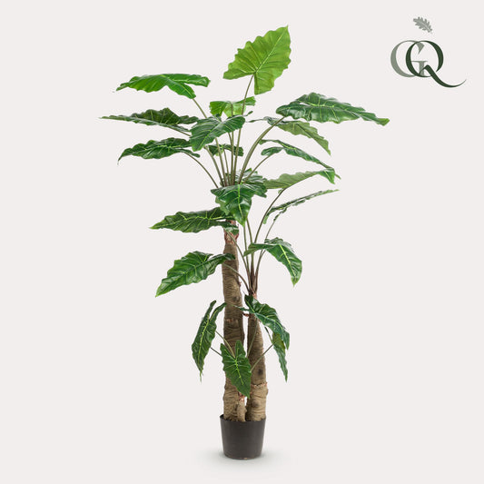 Kunstplant - Olifantsoor - (Alocasia) - 180 cm