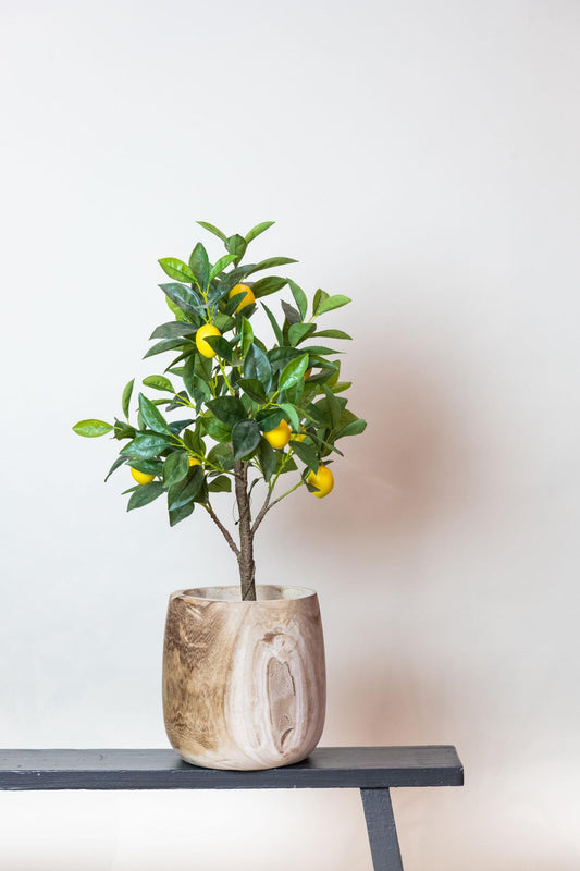 Kunstplant - Citroenboom - (Citrus Limonia) - 75 cm